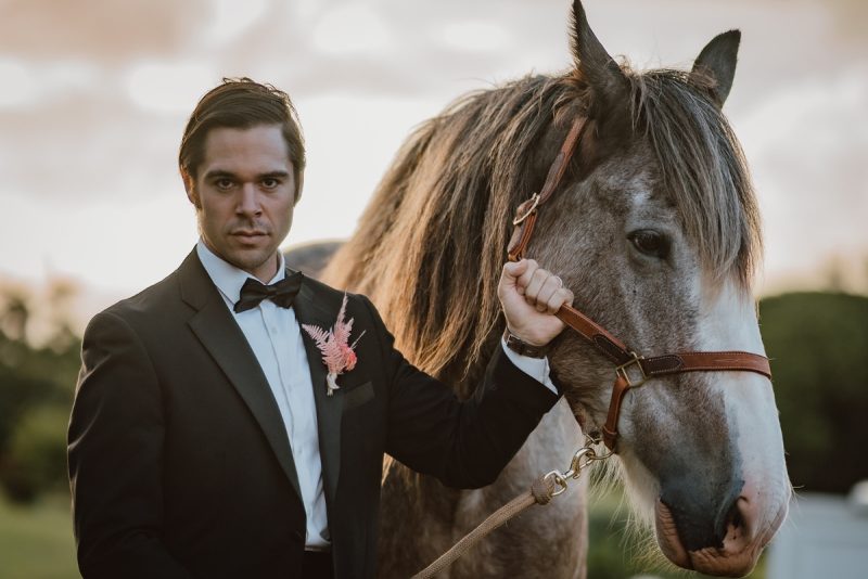 8f79912b-8e64-4ecb-89da-7a04b72c8bbf