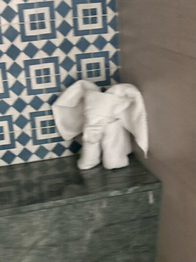 3E4227C2-908C-43B8-9DF7-3FABA378E365