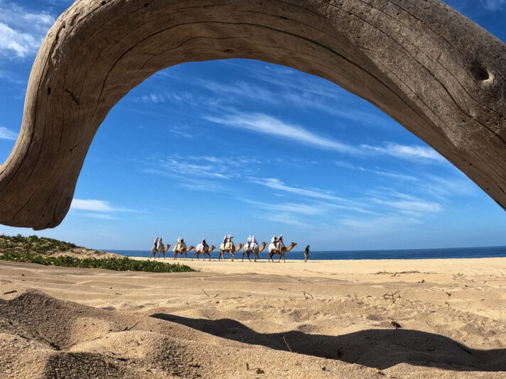 F24A20D3-E907-42EA-A1C4-7D202D95E43A