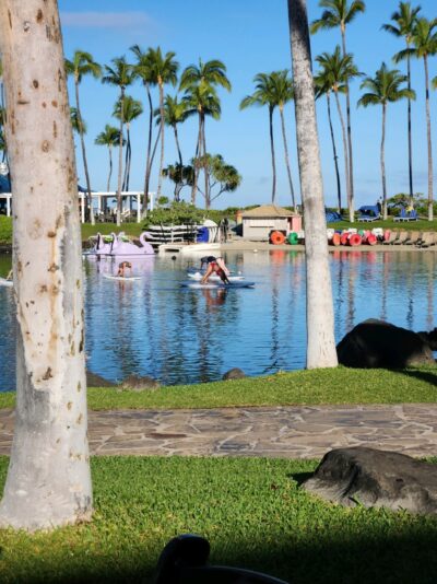 59b5c802-a26a-4bda-b611-9616bea4a5b6