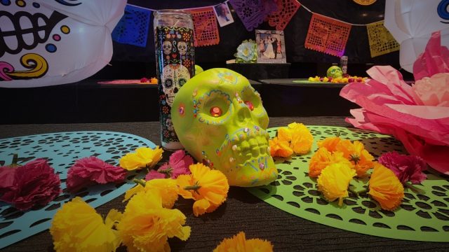 b3549096-bac8-4417-b7f9-76102964cca6