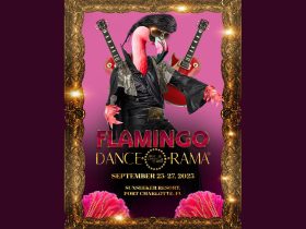 AM-Flamingo-2025-app
